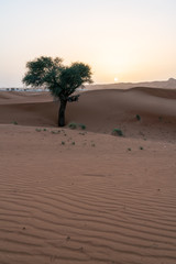 Dubai desert trip, sand and dunes, United arabic Emirates