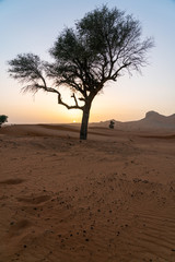 Dubai desert trip, sand and dunes, United arabic Emirates