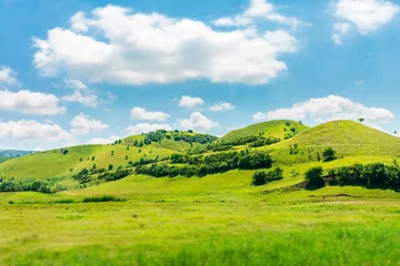Foto op Plexiglas groene heuvel in zomerlandschap. prachtige landelijke omgeving. pluizige wolken op een heldere blauwe hemel. tilt-shift en bewegingsonscherpte-effect toegepast. © Pellinni