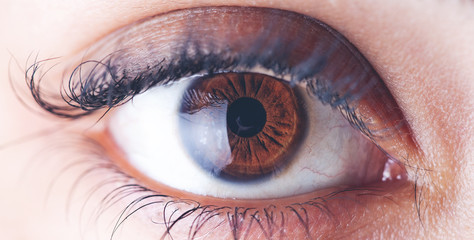 Human eye detail