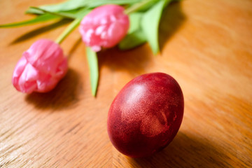 Close up beautiful naturally colored Easter egg on wooden table with pink flowers. Eggs painted with onion skins. Easter holiday concept. 