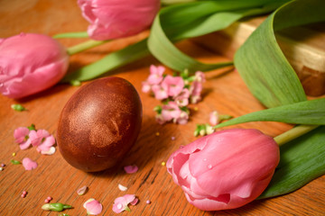 Close up beautiful naturally colored Easter egg on wooden table with pink flowers. Eggs painted with onion skins. Easter holiday concept. 