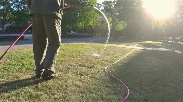 Gardener hose the grass in the park
