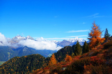 Autumn in the alpine Mountains
