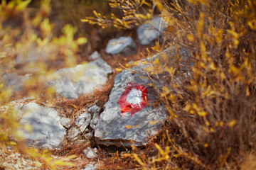 autumn background with tourist tagged stone. shallow depth of field