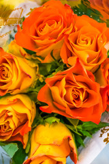 Flowers, orange roses