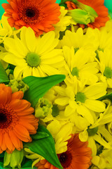 Flowers, beautiful bouquet