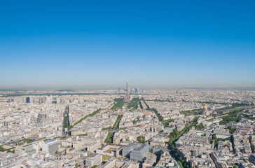 Fototapeta na wymiar Morning aerial view of the famous Eiffel Tower and downtown citypscape