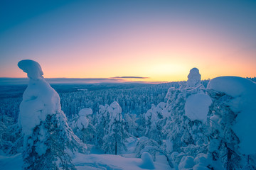 Cold winter day sunset view. Photo from Sotkamo, Finland.