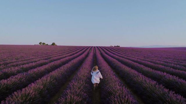 Drone video of free and happy young woman in flowing white traditional dress in pink and purple lavender fields at sunset
