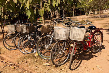 Fototapeta na wymiar Bicicletas vintage aparcadas en el campo.