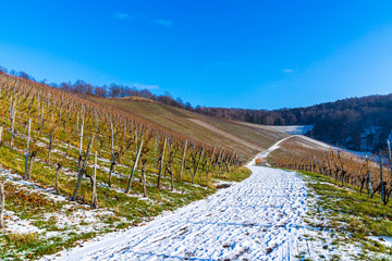 Germany, Beautiful white snow covered road through vineyards of kappelberg