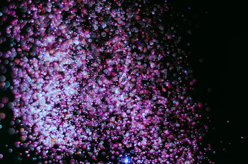 abstract bright colorful violet and red bokeh glitter sparkle blurred background. like molecule spread and absorb.