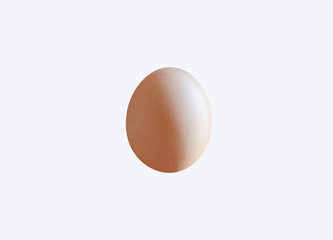 one chicken egg standing isolate on white background with clipping path.