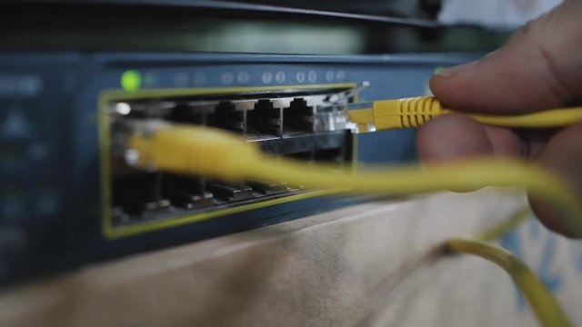 Detail of network cable being plugged into networking switchboard