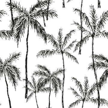 Tropical palm trees on the white background. Vector seamless pattern. Black and white graphic illustration. Paradise nature. Botanical print. Sketch design