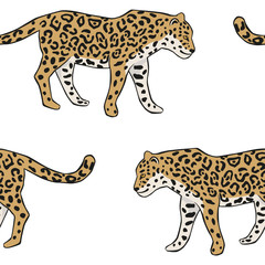 Tropical leopard animal, white background. Vector seamless pattern. Graphic illustration. Exotic jungle. Summer beach design. Paradise nature 