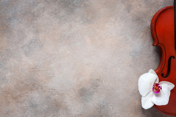 Two Old violins and white orchid flower. Top view, close-up on light concrete background. © Eleonora