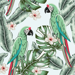 Macaw green parrots, monstera, banana palm leaves, plumeria flowers, light background. Vector floral seamless pattern. Tropical illustration. Exotic plants, birds. Summer beach design. Paradise nature