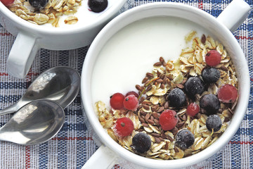 Healthy breakfast or dessert with dairy yogurt, seeds and berries. Superfoods Food for healthy skin and wellness. The concept of breakfast for weight loss. Fermented dairy products.