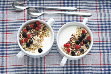 Healthy breakfast or dessert with dairy yogurt, seeds and berries. Superfoods Food for healthy skin and wellness. The concept of breakfast for weight loss. Fermented dairy products.