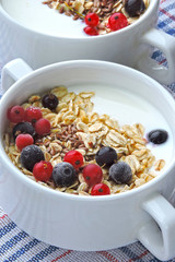 Healthy breakfast or dessert with dairy yogurt, seeds and berries. Superfoods Food for healthy skin and wellness. The concept of breakfast for weight loss. Fermented dairy products.