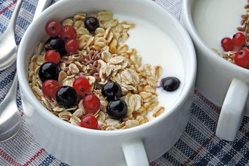 Healthy breakfast or dessert with dairy yogurt, seeds and berries. Superfoods Food for healthy skin and wellness. The concept of breakfast for weight loss. Fermented dairy products.