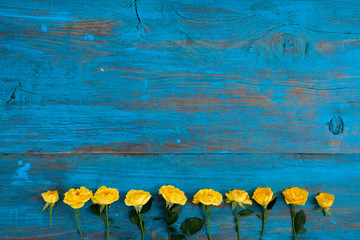 Frame of yellow flowers on a blue wooden background. Easter, spring flowers