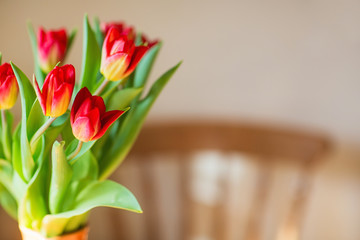 tulips on the kitchen table . spring flowers in the morning. international women's day or mother's day