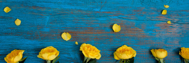 Fototapeta na wymiar The composition of flowers. Frame made of yellow flowers on a blue wooden background. Easter, spring, summer concept. Flat lay, top view.