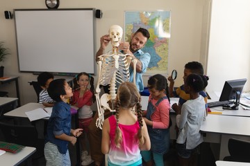 Male teacher explaining skeleton model in classroom