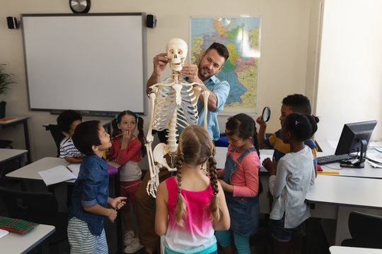 Male teacher explaining skeleton model in classroom 