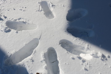 snow, winter, white, cold, nature, ice, sky, footprint, 