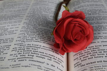 rose on old book