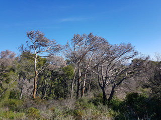 Paesaggio