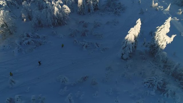 Aerial Shot: Three Skiers Skiing Down the Ski Slope Surrounded by Wonderful Nature.