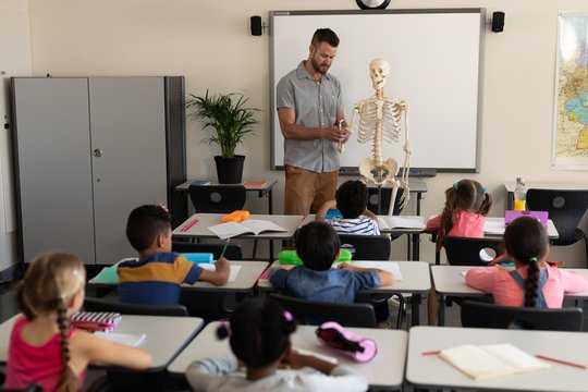 Far sight of male teacher explaining human skeleton model in