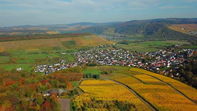 Aerial view of vineyards near Ayl in autumn, Saar River, Saar Valley, Rhineland-Palatinate, Germany