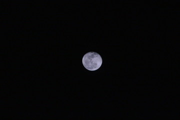 Obraz premium luna