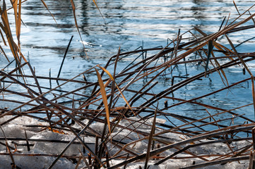 Dry yellow reeds, ice snow and cold river in winter