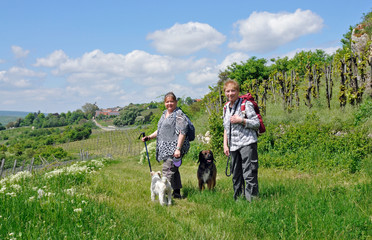 wanderer im zellertal
