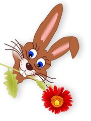 Hasi mit roter Gerbera