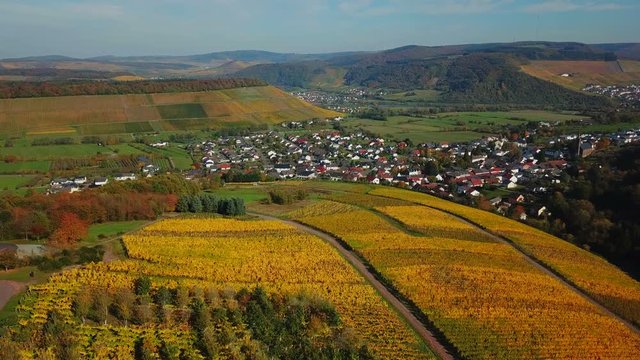Aerial view of wine-village Ayl in autumn, Saar River, Saar Valley, Rhineland-Palatinate, Germany