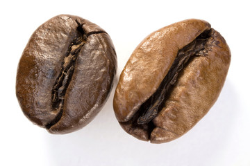 Coffee beans on white background.