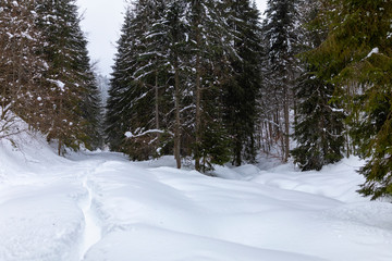 Mountain road covered in snow with footprints