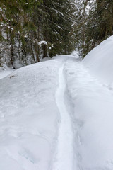 Mountain road covered in snow with footprints