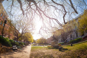 East Garden and George Peabody statue in Baltimore