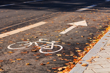 Bicycle road sign on asphalt in Estonia during Autumn