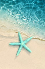 Fototapeta na wymiar Starfish on the sand beach and sea as background. Summer beach.