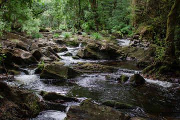 rio de montaña